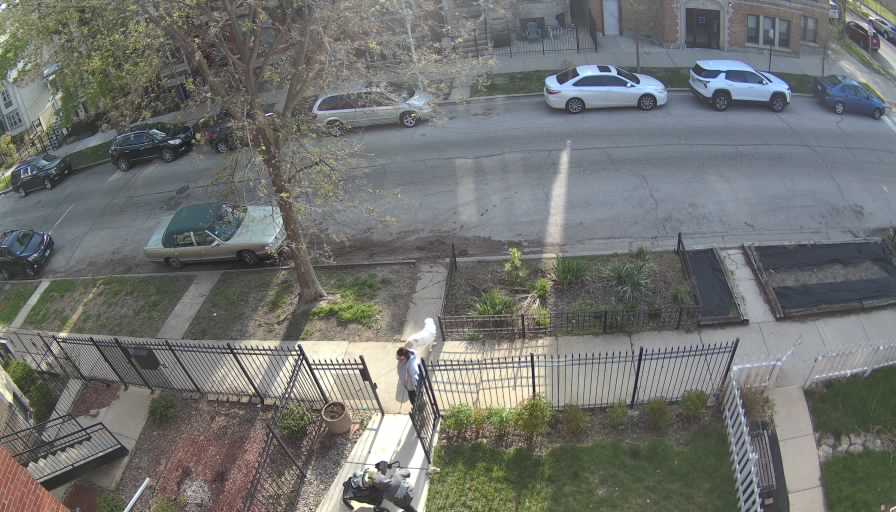 Reolink Camera One_00_Reolink Home Hub One_20260421082121.jpg